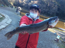 BigFishギャラリー