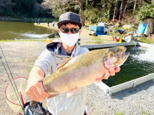 BigFishギャラリー