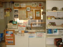 ��t�J�E���^�[